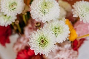 exeter-nh-newborn-photo-session-30-12ef8dcd-1500