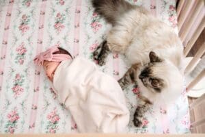 nh-newborn-inhome-photographer-15-18cf38b7-1500