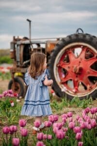 tulips-2-a993c28e-1000