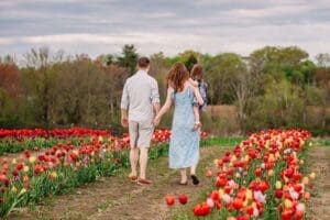 tulips-6-5b24407d-1000